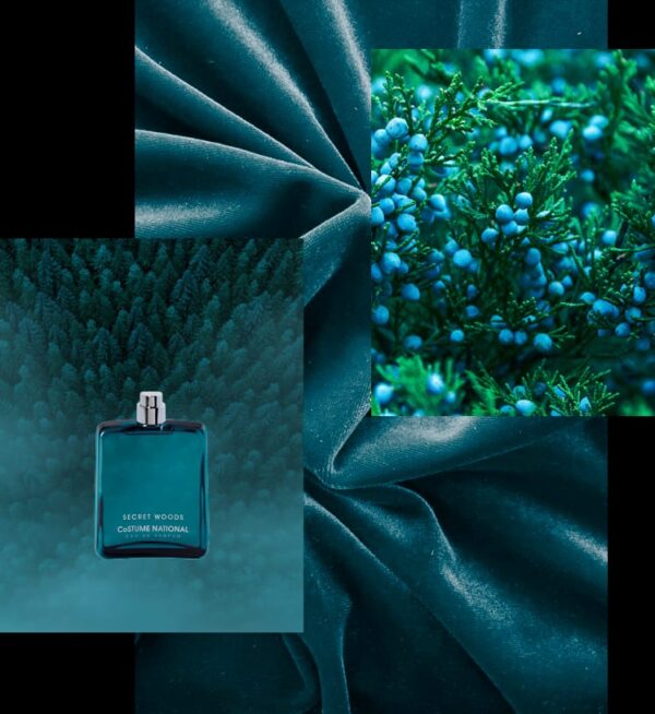 Secret Woods - Image 3