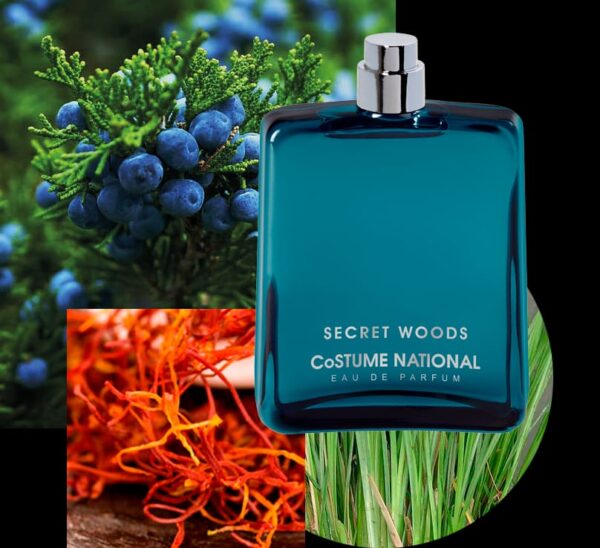 Secret Woods - Image 4